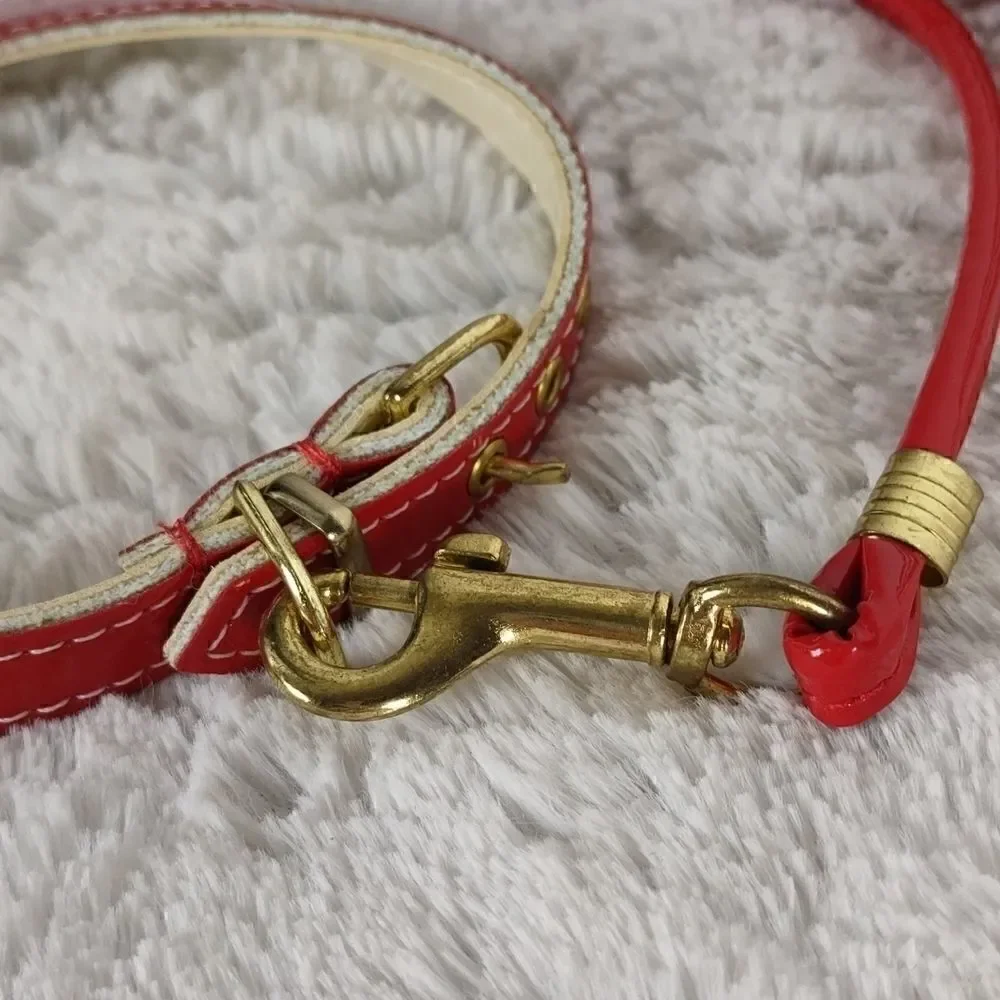 Red Collar & Leash 12